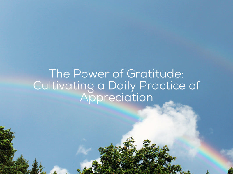 The Power of Gratitude: Cultivating a Daily Practice of Appreciation